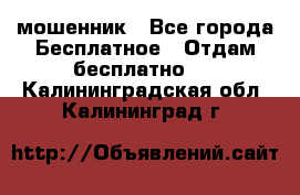 мошенник - Все города Бесплатное » Отдам бесплатно   . Калининградская обл.,Калининград г.